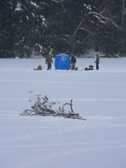 2013 Condon Lake Snow Pictures